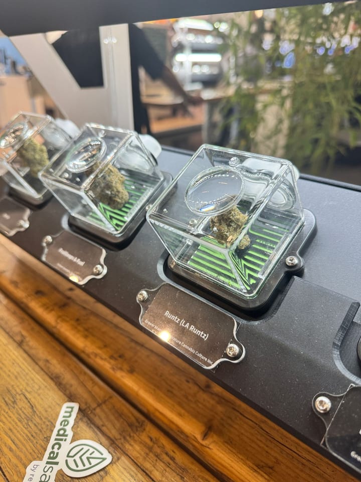 Cannabis buds in clear display cases on a black shelf, the nearest labelled Runtz (LA Runtz).